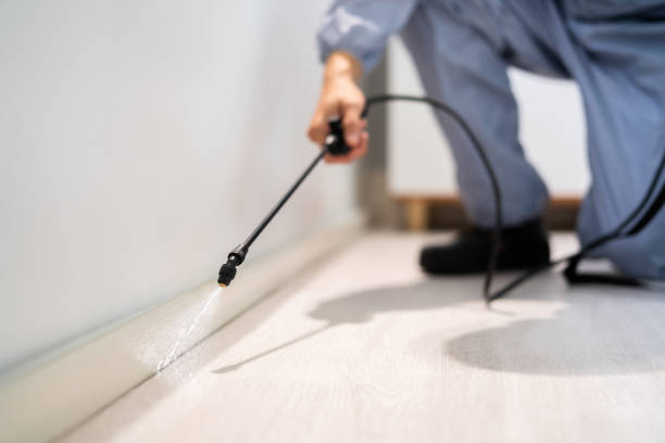Licensed Termite Control service in Champlin, MN - Nex Pest Control