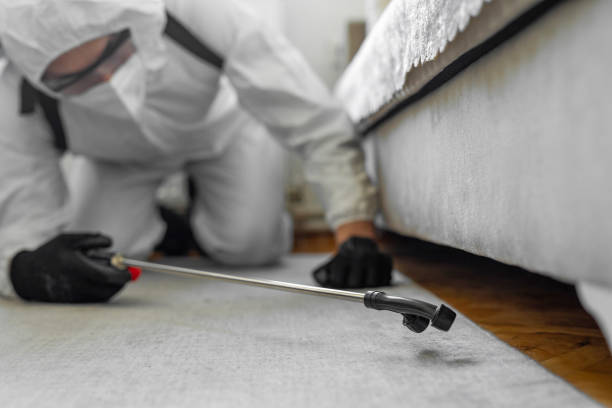 Professional Termite Control technician working in Champlin, MN