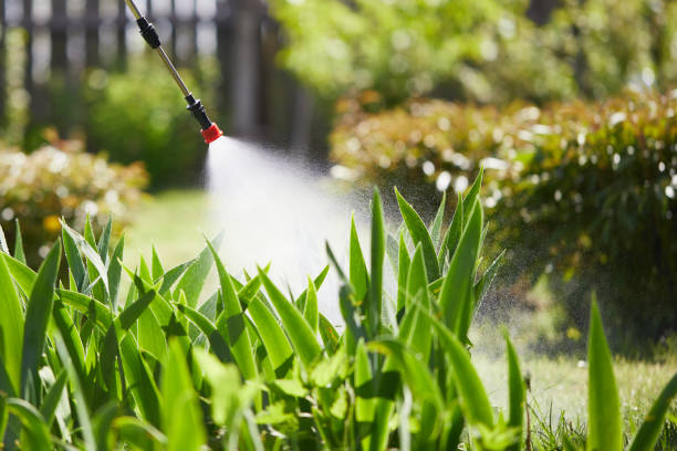 24/7 Emergency Termite Control experts in Champlin, MN