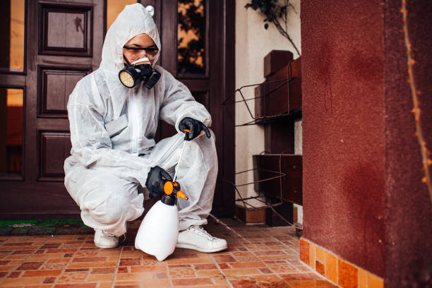 Reliable Termite Control contractor in Champlin, MN by Nex Pest Control