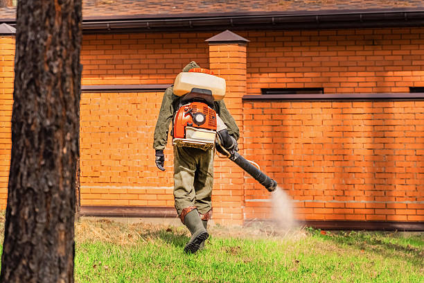 Top rated local Termite Control specialists in Champlin, MN